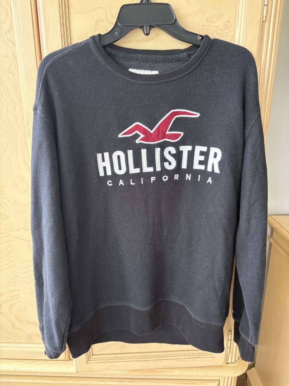 Hollister Navy Crewneck Sweater with Red Seagull Logo